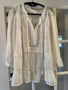 NWT DR2 embroidery detail peplum blouse in 2X